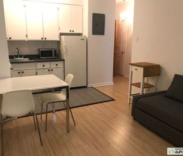 3123 place Decelles, Côte-des-Neiges / Notre-Dame-de-Grâce à louer - Photo 4