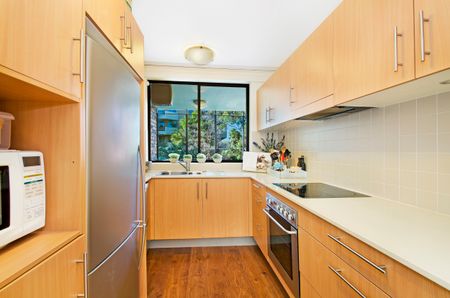 6/40A Barry Street, Neutral Bay NSW 2089 - Apartment For Rent | Domain - Photo 2