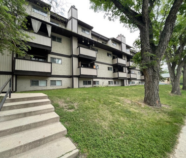 1 & 2 Bedroom Suites on 8th Street - Photo 2