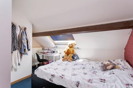 Duplex met eigen sanitair en keuken - Spiegelhofstraat 80 - Foto 3