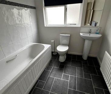 38 Primrose Street, Bangor, BT20 3AZ - Photo 6