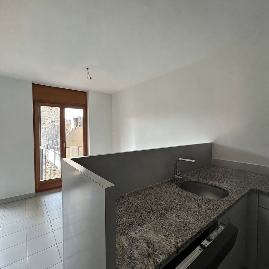 PONTE CAPRIASCA - AFFITTASI CASA RINNOVATA NEL NUCLEO - Photo 1