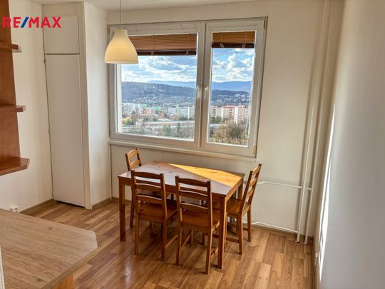 Pronájem bytu 1+1 v osobním vlastnictví 42 m², Ústí nad Labem - Fotografie 1
