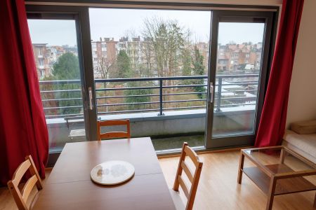 DIAMANT : Large 1 bedroom furnished apartment w/ parking - Foto 5