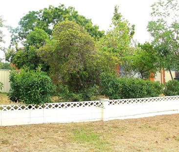 27 Haines Street, Curtin ACT 2605 - House For Rent | Domain - Photo 5