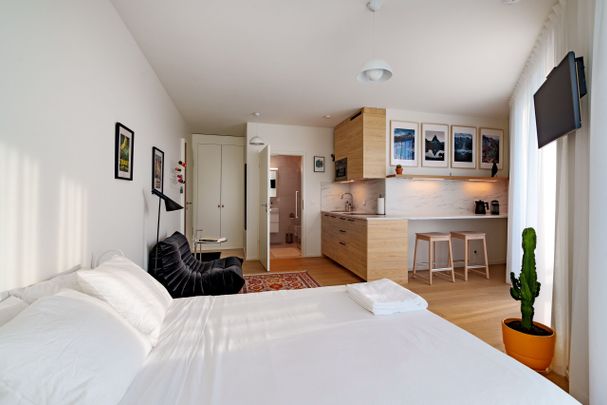 Modern furnished studio near Chêne-Bourg train station – rue des Charbonniers 1 - Photo 1