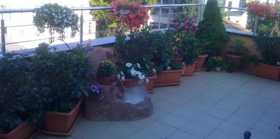 3 rooms luxury apartment for rent Iasi center # code 102 - Photo 3