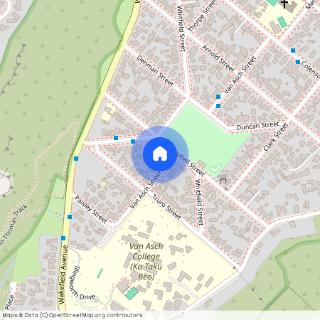 20 Van Asch Street, Sumner