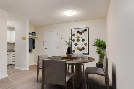 Renovated Suite - 1 Bedroom - Photo 4