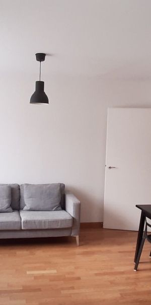 Location Appartement 2 pièces Meublé 42m² ISSY LES MOULINEAUX 92130 - Photo 1