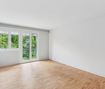 Location après rénovation. Le coin le plus calme de la Zürchermatte. - Photo 2
