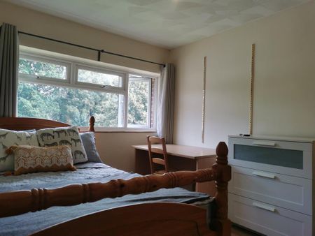 4 bedroom house to rent - Photo 4