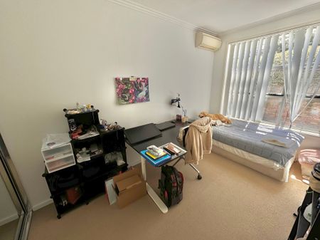 Camperdown - Photo 5