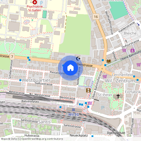 Pestalozzistrasse 12, 9500 Wil SG