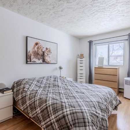 Appartement 4 ½ à louer Loretteville mars 2026 - Photo 4