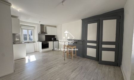 Location Appartement 1 pièce Limoges (87000) - Photo 3