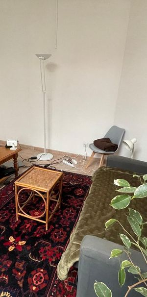 Location Appartement 1 pièce LILLE 59000 - Photo 1