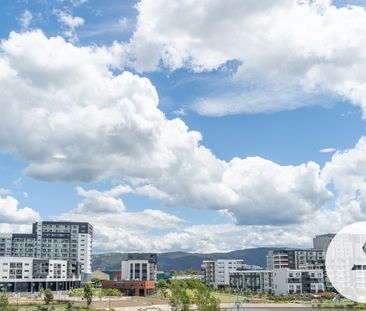 14/10 Ellison Harvie Cl, Greenway ACT 2900 - Townhouse For Rent | D... - Photo 4