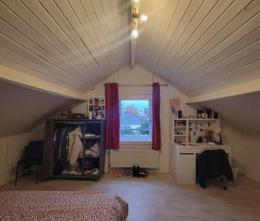 Colocation Maison quartier facultés. - Photo 5