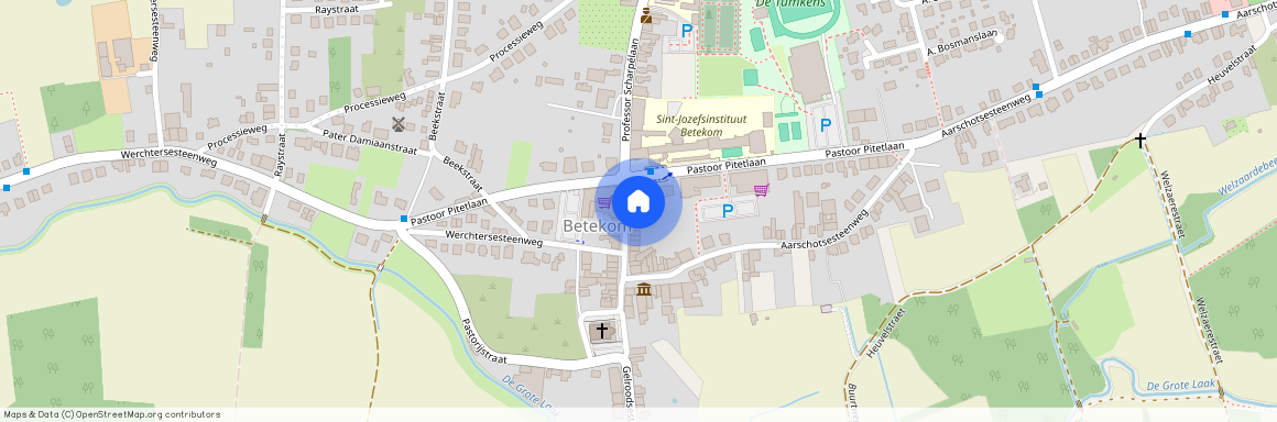 Professor Scharpélaan, 17, 3130, Begijnendijk