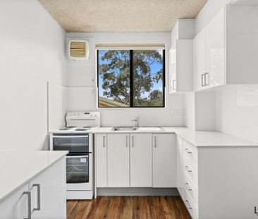 Light Filled Property! - Photo 3