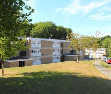 3 bedroom house to rent - Photo 2
