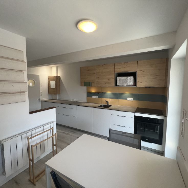 Appartement 20 m² - 1 pièce - Andolsheim (68280) - Photo 1