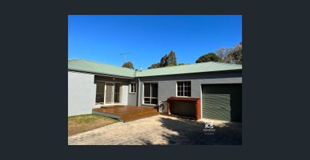 IMMACULATE - Photo 4