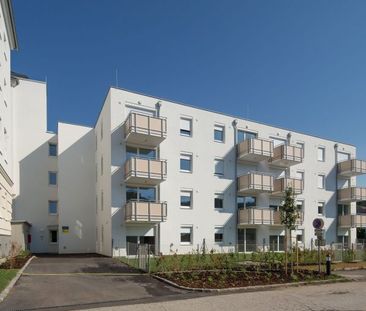 1 Zimmer - 45.42 m² - Foto 1