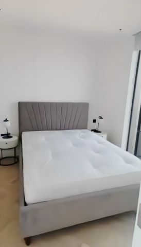 1 Bedroom 1 Bathroom Flat153 - Photo 3