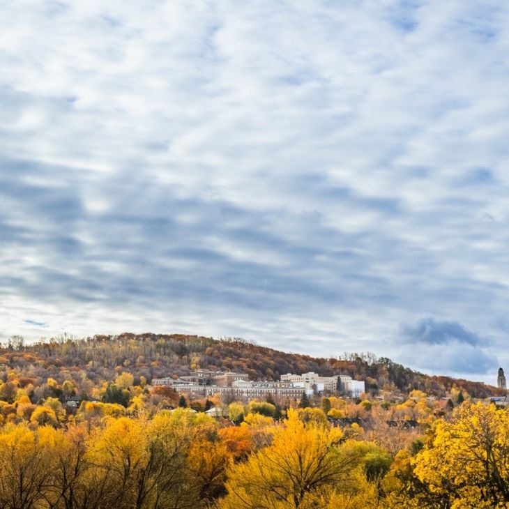 Appartement à louer - Montréal (Outremont) - Photo 1