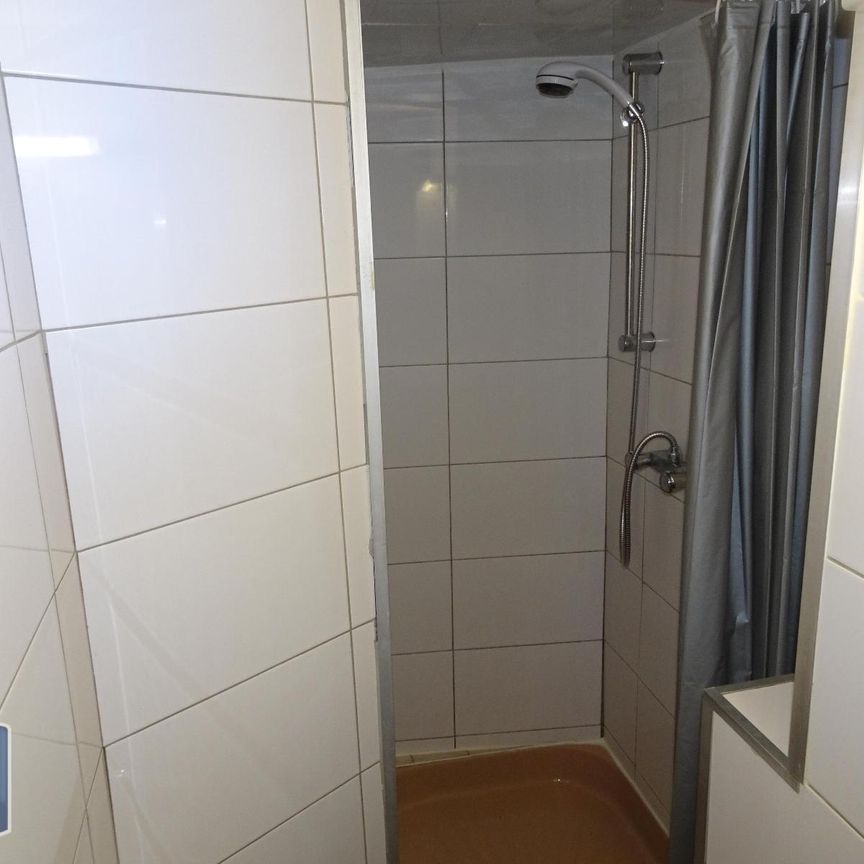 Location Appartement 1 pièce 15m² GRENOBLE 38000 - Photo 1