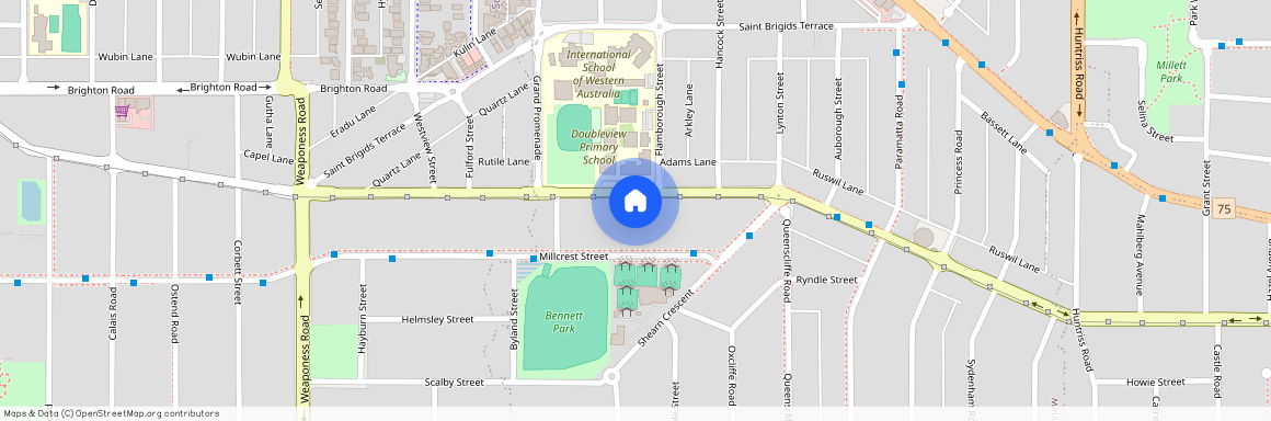 115C Ewen Street, WA 6018, Doubleview