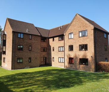 Gilman Road, Norwich - Photo 4