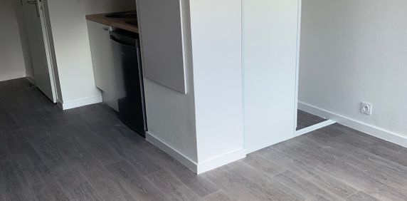 Location Appartement 1 pièce 19m² AUZEVILLE TOLOSANE 31320 - Photo 2