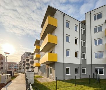 ERSTBEZUG „ein viertel grün“ in Wiener Neustadt - zentral gelegene ... - Foto 5