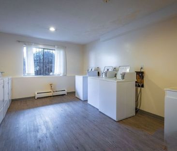 Terrace Green - 1 Bedroom - Photo 1
