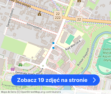 ul. Hallera - mieszkanie na wysokim parterze - Zdjęcie 1