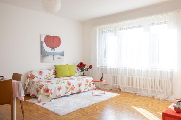 Spazioso 2.5 Locali a S. Antonino - Foto 1