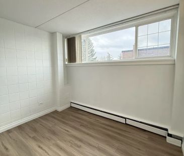 1 Bedroom - Photo 4