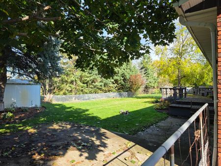 For Lease - 248 Young Street, New Tecumseth, Ontario - Photo 4