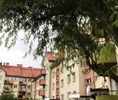 mazowieckie, Warszawa, Ursynów, Rotmistrza Witolda Pileckiego - Photo 5