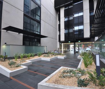 North Facing Spacious One Bedroom Apartment - Photo 6