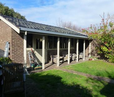 12 Carpenter Street, Brighton VIC 3186 - House For Rent | Domain - Photo 6