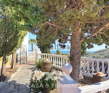 Alquiler de casa o chalet independiente en Poblado Cajiz - Photo 1