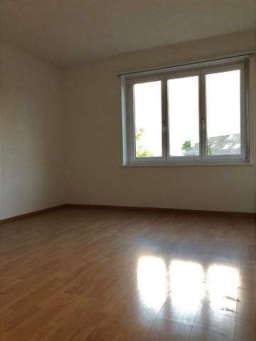 "Gemütliche kleine Wohnung nähe Schützenmattpark" - Photo 4