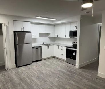 Brand new 2 Bedroom Condo Close to West Edmonton Mall | 9504 182 St... - Photo 1