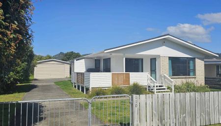 110 Linton Crescent Whangamata - Photo 2