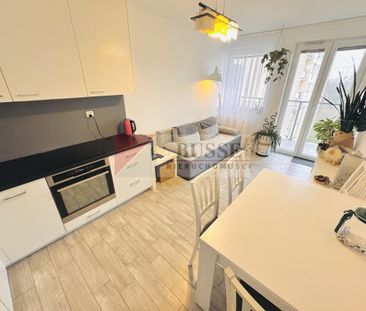 Mieszkanie | Wynajem - Zdjęcie 1