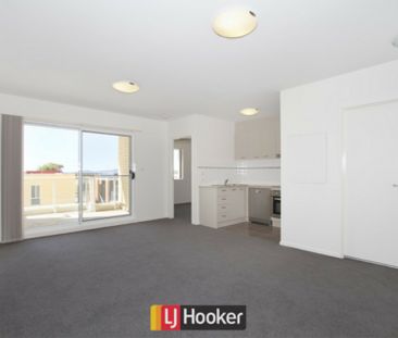 Gorgeous Bruce Light Filled Apartment! - Photo 1